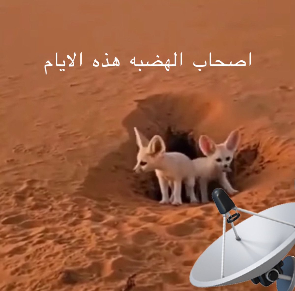 #ابو عوجاء وأصحاب الهضبه يترقبون الأوضاع