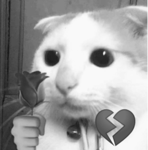 Ang Lotto parang love life—lagi kang umaasa, pero laging talo.

#LOTTO  #Cat  #memecoin