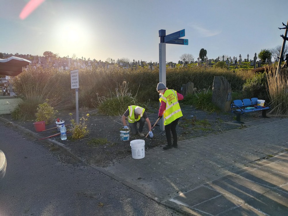 Another lovely evening this past Tuesday for the Bantry Tidy Towns volunteers to get some work done at the Spirit of Love garden. Looking forward to this Tuesday's meetup at the Square, 7pm. See you there!

#BeBantryProud #TidyTuesdays