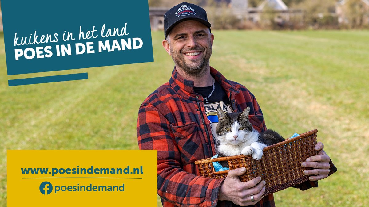 Het broedseizoen is begonnen!🐣Uit onderzoek blijkt: ook (huis)katten pakken kuikens en eieren.
👉Help daarom mee: houd je kat van april t/m juni ’s nachts binnen.

📽️ Bekijk de campagnevideo en meer informatie via: poesindemand.nl
#poesindemand #weidevogels #broedseizoen