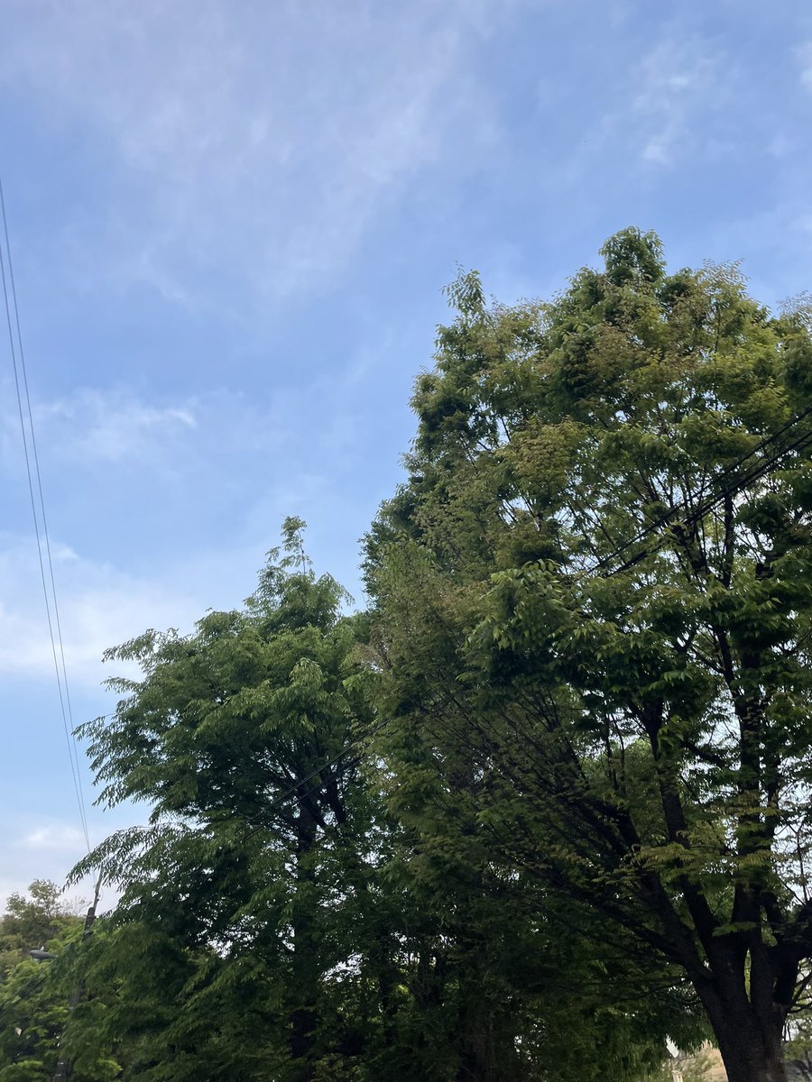 帰り道が明るいとちょっと嬉しくなりませんか？

木曜日おつかれさまでした。
明日もいいことありますように(⸝⸝› з ‹⸝⸝)♡

#企業公式がお疲れ様を言い合う