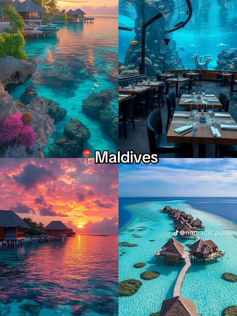 honeyhue5456's tweet photo. Fun places / relaxation places to vist.💃❤
1) Thailand 🥺
2)Seychelles 💃
3)Maldives ❤
4)zanzibar 🤭

Select your fav 💃🤭🥺❤ https://t.co/YUWumTlT2z