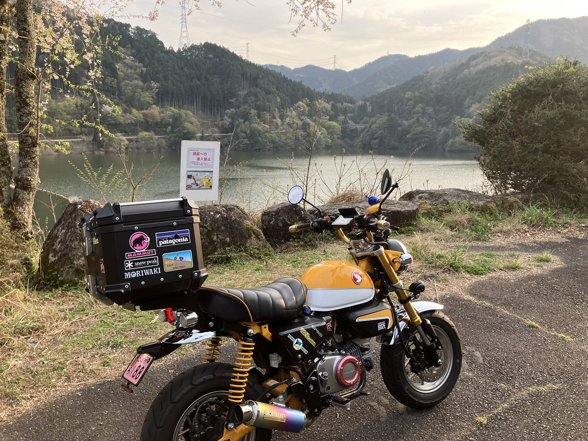 早く帰って来たので　ちょっと散歩に
もう満開過ぎてました❣️