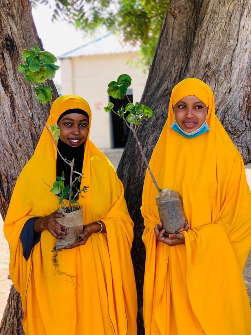 Somali Environmental Forum tweet media