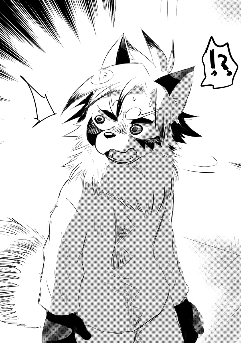 二度見するたぬっ子 