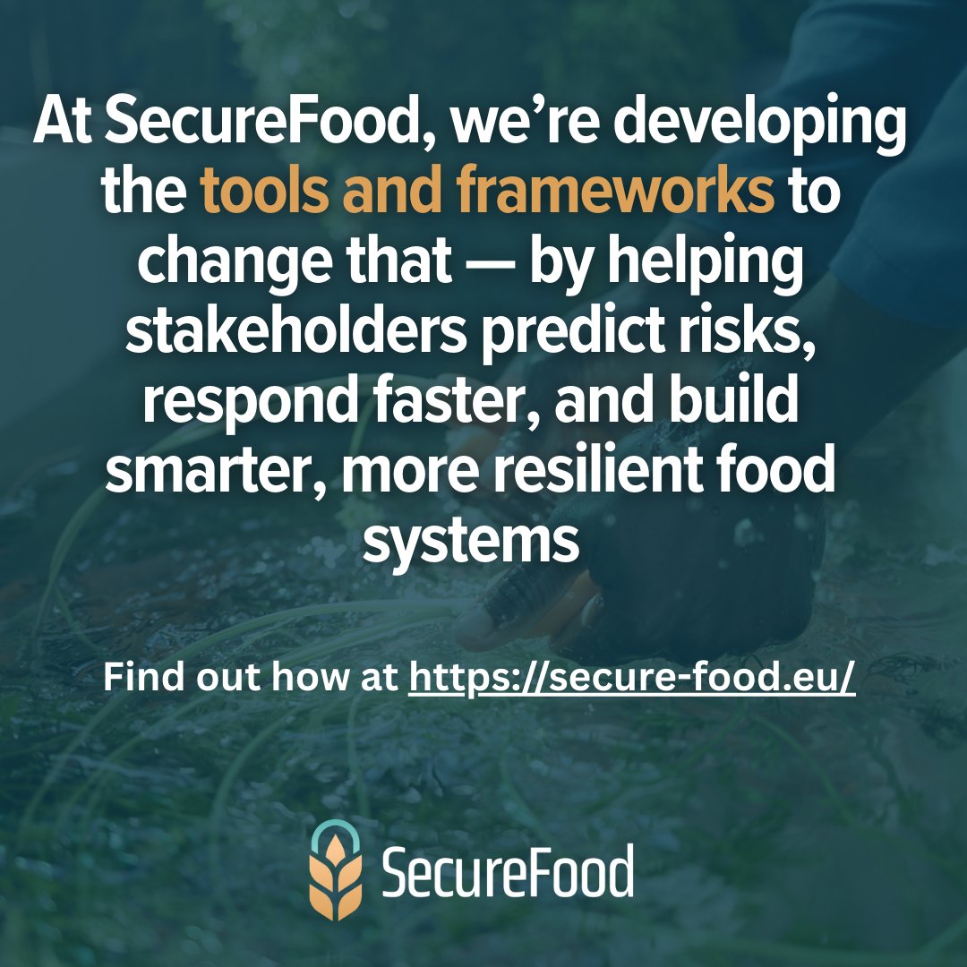 Europe’s food systems aren’t as secure as they seem.

Here are 3 surprising facts that show why we need a new approach 🧵👇

#SecureFoodEU #FoodSecurity
