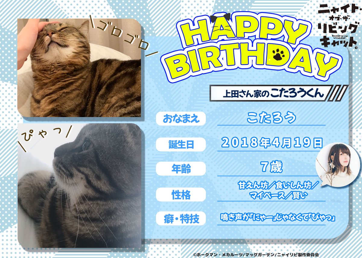 ねこたろう様　リクエスト品 ねこたろう様 リクエスト 2点 まとめ商品 - メルカリ