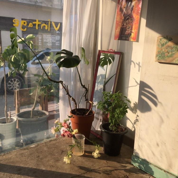 coffiano_cafe's tweet photo. 여름온듯한 
다양한 4월의 온도
감기조심하세요! https://t.co/qlzCkmY8xz