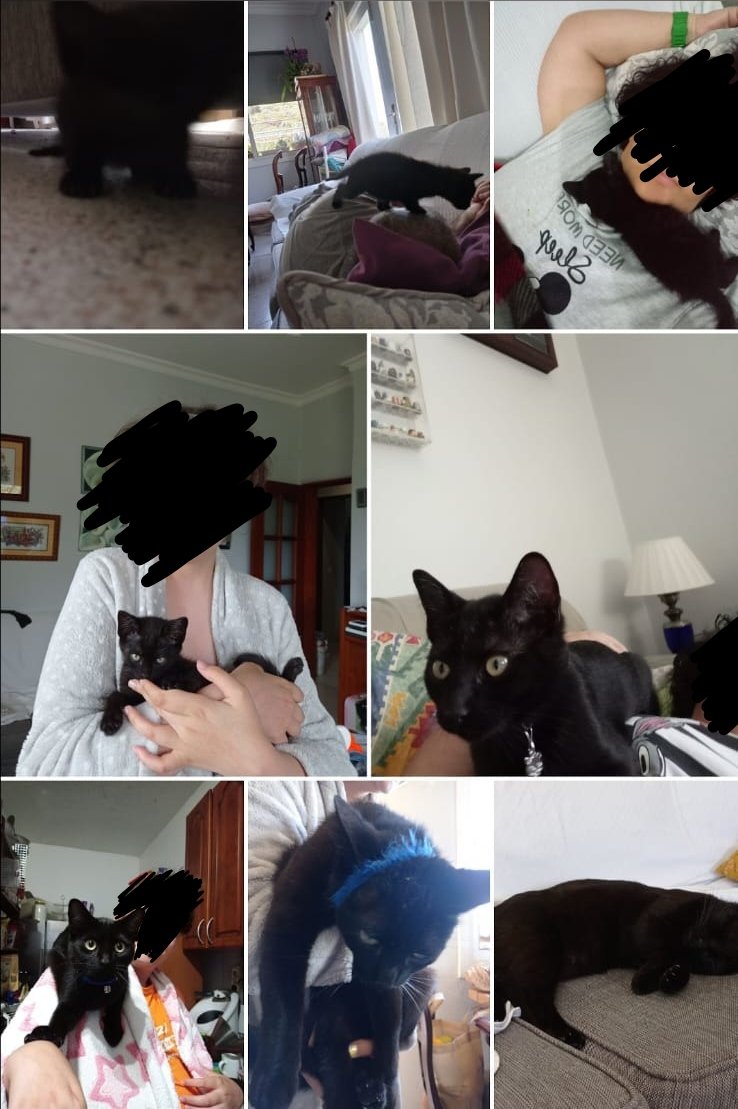 Erika Angel 😇💕 EN/ESVtuber tweet media