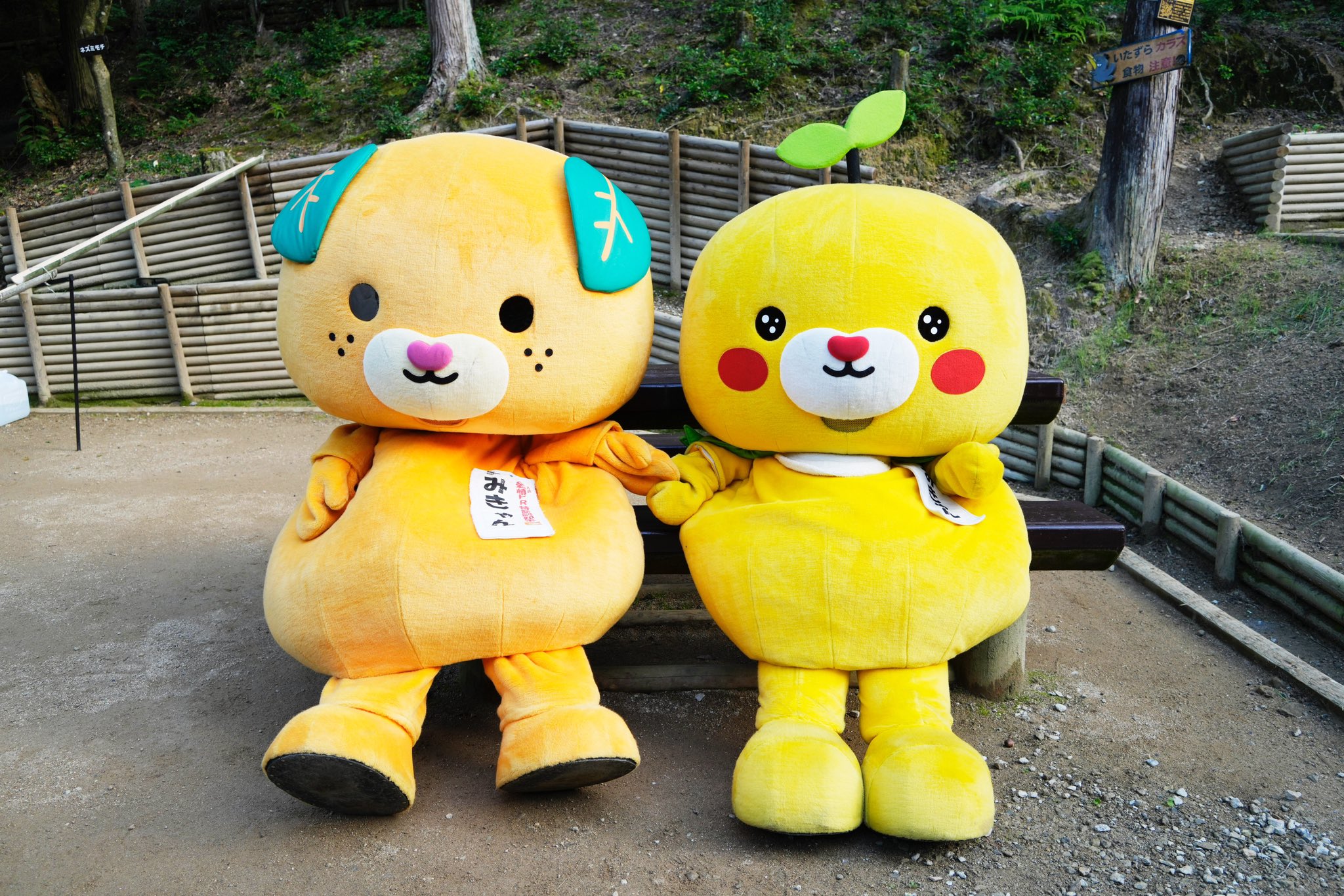 みきゃん【公式】《愛媛県イメージアップキャラクター