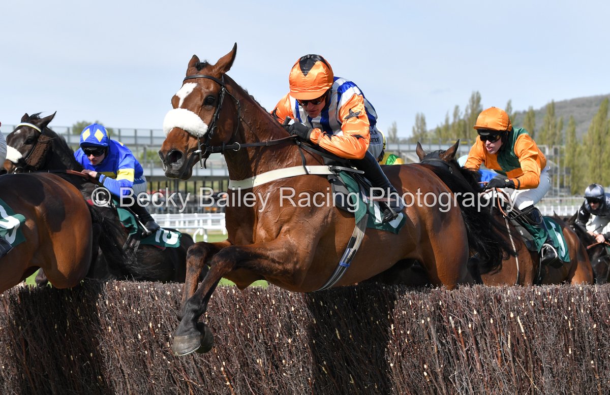 Becky Bailey tweet media