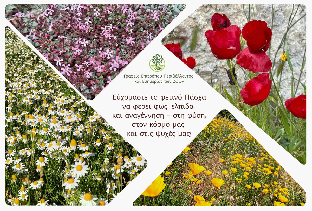 Γραφείο Επιτρόπου Περιβάλλοντος (@envirocommcy) on Twitter photo Ολόθερμες ευχές για Καλή Ανάσταση! Ολόθερμες ευχές για Καλή Ανάσταση!