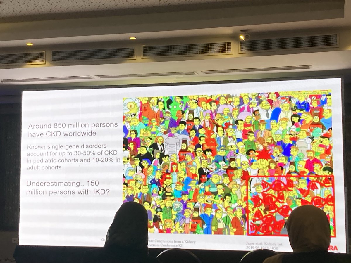 Valerie Luyckx (@valerie_luyckx) on Twitter photo Great talk on genetics and CKD by <a href="/torra_roser/">Roser Torra</a> at <a href="/AfricanAFRAN/">African Association of Nephrology (AFRAN)</a>
We may be missing a genetic cause of CKD is 150 million people!!!
<a href="/ERAkidney/">ERA - European Renal Association</a> <a href="/ISNkidneycare/">Int Society of Nephrology</a> <a href="/womeninnephro/">Women In Nephrology</a> Great talk on genetics and CKD by <a href="/torra_roser/">Roser Torra</a> at <a href="/AfricanAFRAN/">African Association of Nephrology (AFRAN)</a>
We may be missing a genetic cause of CKD is 150 million people!!!
<a href="/ERAkidney/">ERA - European Renal Association</a> <a href="/ISNkidneycare/">Int Society of Nephrology</a> <a href="/womeninnephro/">Women In Nephrology</a>