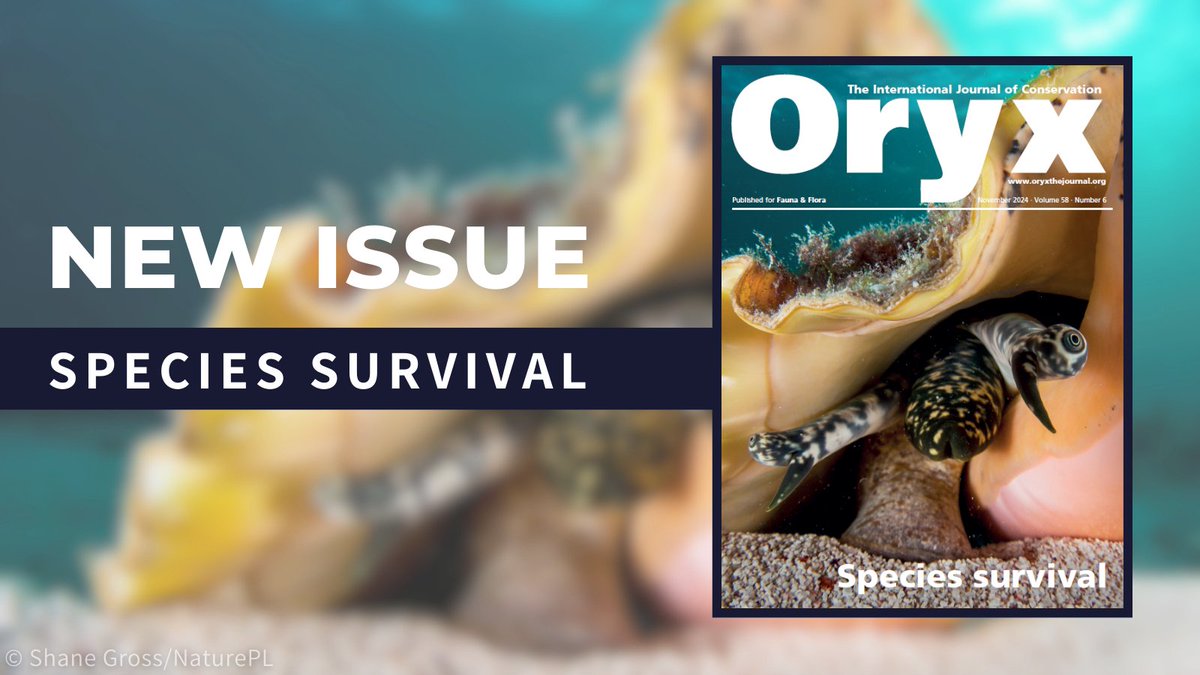Oryx (@oryxthejournal) on Twitter photo 📣 Our latest issue highlights our partnership with the <a href="/IUCNssc/">IUCN Species Survival Commission</a>, including an editorial by Chair Jon Paul Rodriguez and articles on topics such as the use of seahorses in Malaysia and conservation of the northern muriqui in Brazil. Discover these & more: cambridge.org/core/journals/… 📣 Our latest issue highlights our partnership with the <a href="/IUCNssc/">IUCN Species Survival Commission</a>, including an editorial by Chair Jon Paul Rodriguez and articles on topics such as the use of seahorses in Malaysia and conservation of the northern muriqui in Brazil. Discover these & more: cambridge.org/core/journals/…