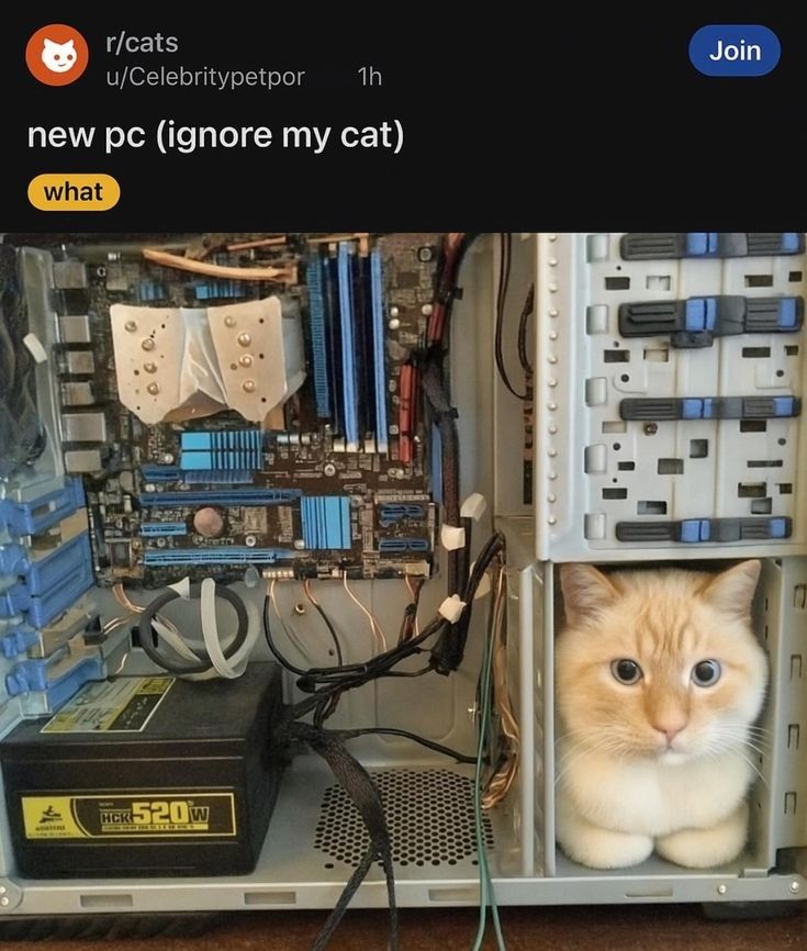 PostSovietBazar's tweet image. Cat joined the PC 😹

#PostSovietBazaar #hardwaredevelopment