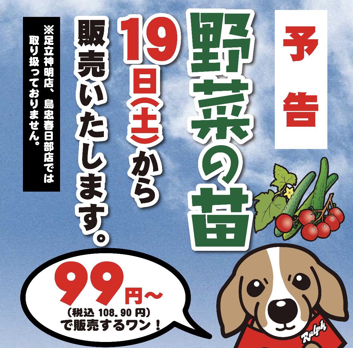 belx_official's tweet photo. 野菜が高いから育ててみようかなと考えている方❗️
朗報です📣4／19(土)より野菜の苗が販売されます🌱
お値段は99円からとお買い得😳
各種取り揃えております👌
是非お買い求めください🛒
※足立神明店・島忠春日部店では取り扱っておりませんのでご注意ください。

#ベルクス https://t.co/QLCeGykls9