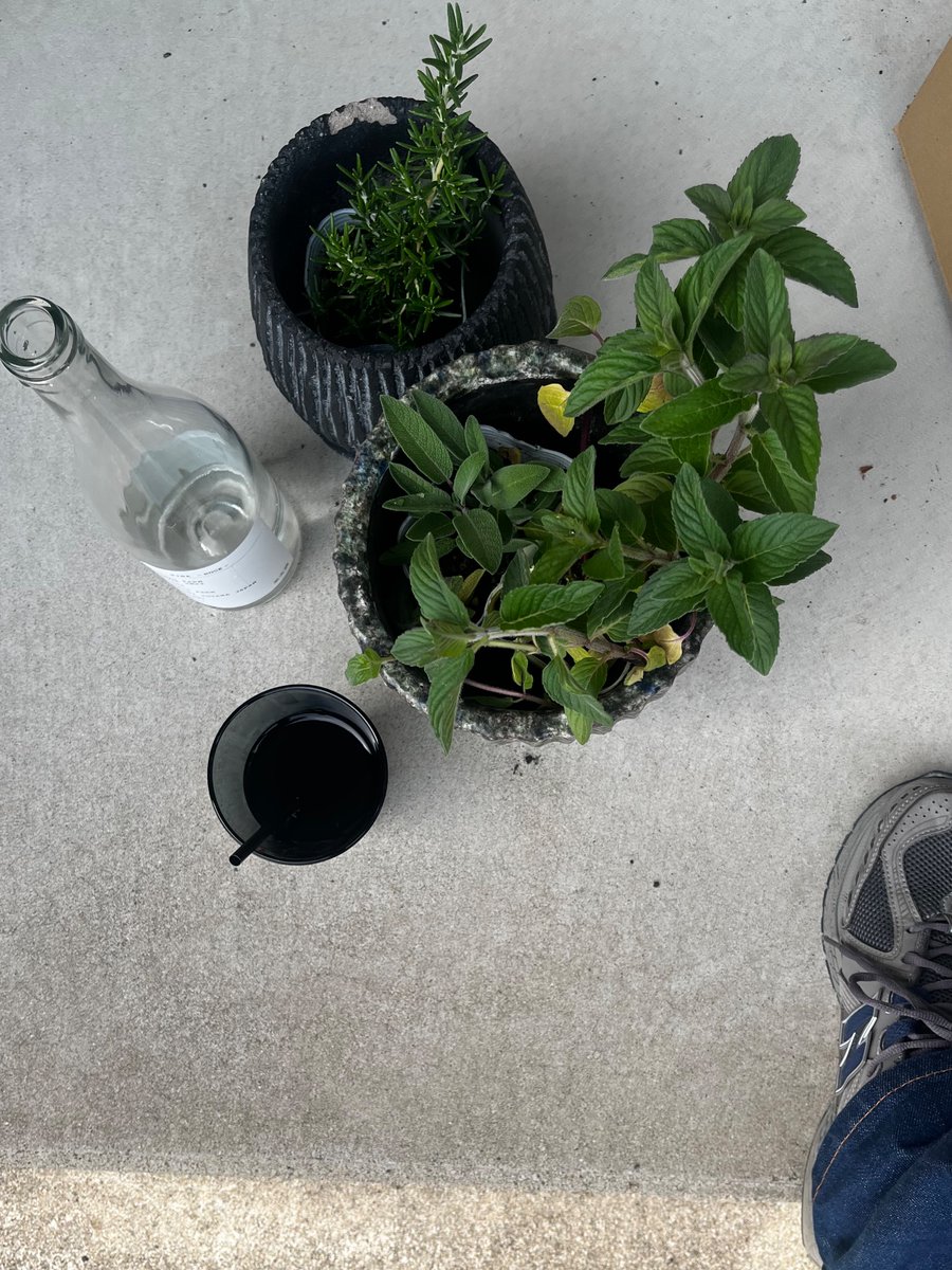 ハーブの寄せ植え(入れ)