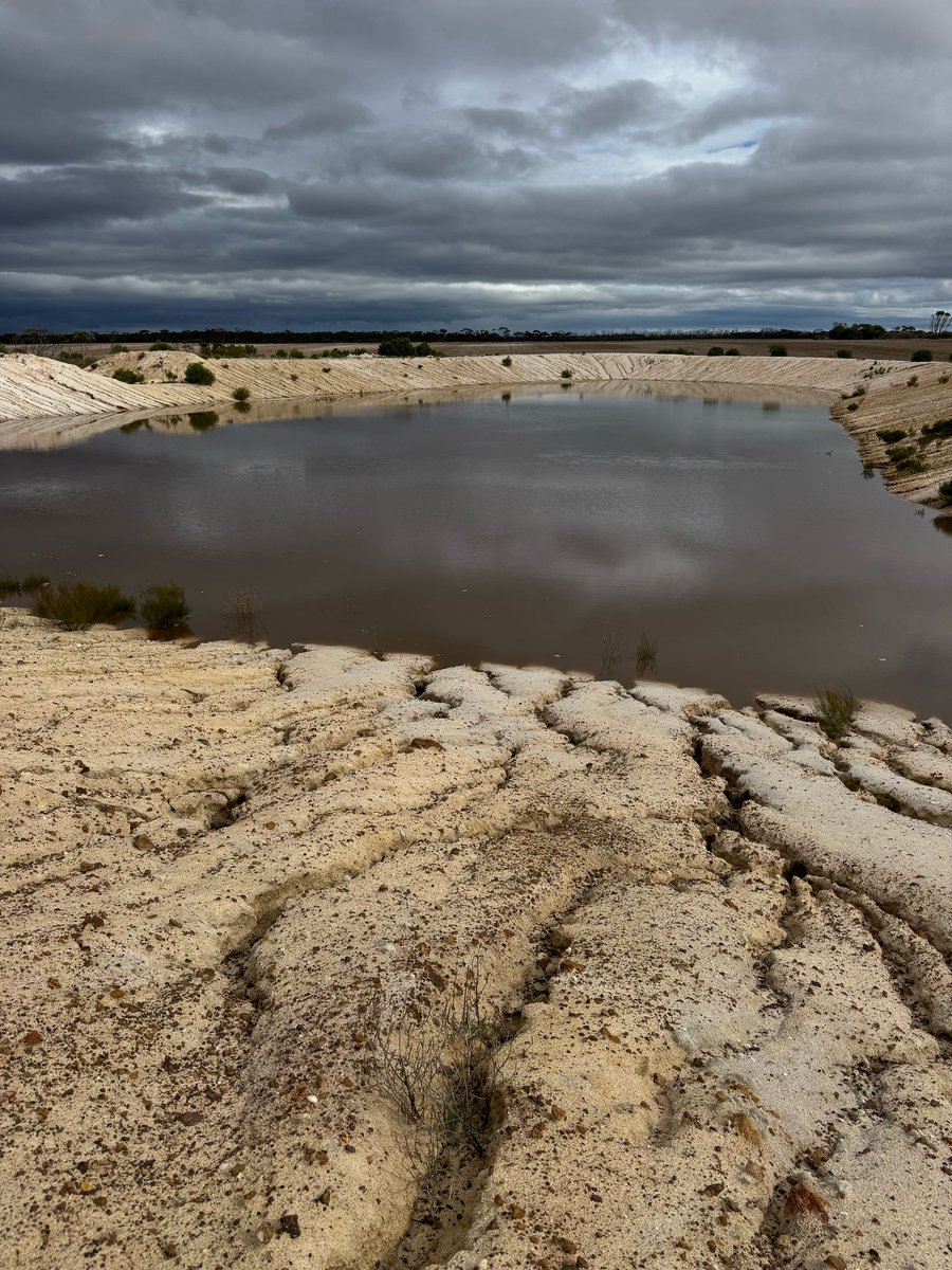 Building, filling and the final result.  The water is stained the colour it is from the tannin it picked up from the bush that it flowed through.   I think the water in the tank is 150m x 85m x prhaps 3 or 4 deep.  Took a while, but the elephant is no longer white!