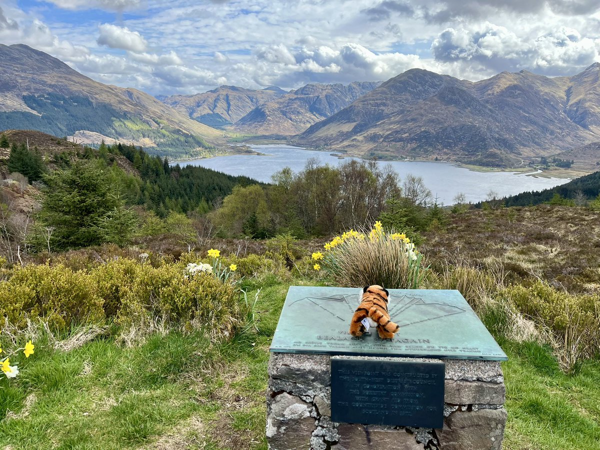 TopTigerTime's tweet photo. Looking from Bealach Ratagan towards the Five Sisters..  🗻🏴󠁧󠁢󠁳󠁣󠁴󠁿🐯

#Scotland #Highlands #TopTigerTime https://t.co/IGzMxBqNUV