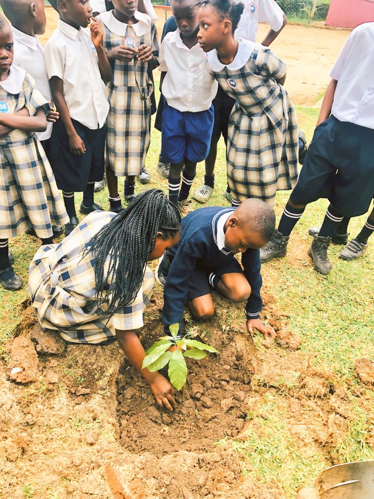 acus_uganda's tweet image. 15th April, 2025. We joined the world to mark the #InternationalIndigenousTreeDay by planting 100 trees at RavenWoods School Matugga. Thanks to @RoofingsGroupUG, Generation Roots Foundation and @LuTreeCo for enabling us celebrate in style. 
#birdconservation
#trees4future