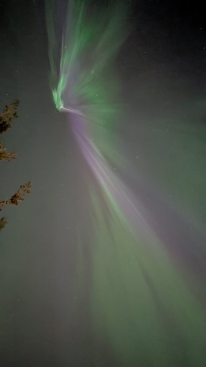 Some of the pictures from last night. Thanks to everyone uploading pictures in the app!
Below: Trøndelag (Norway), Brandenburg (Germany), Norrbotten (Sweden) and Trøndelag.