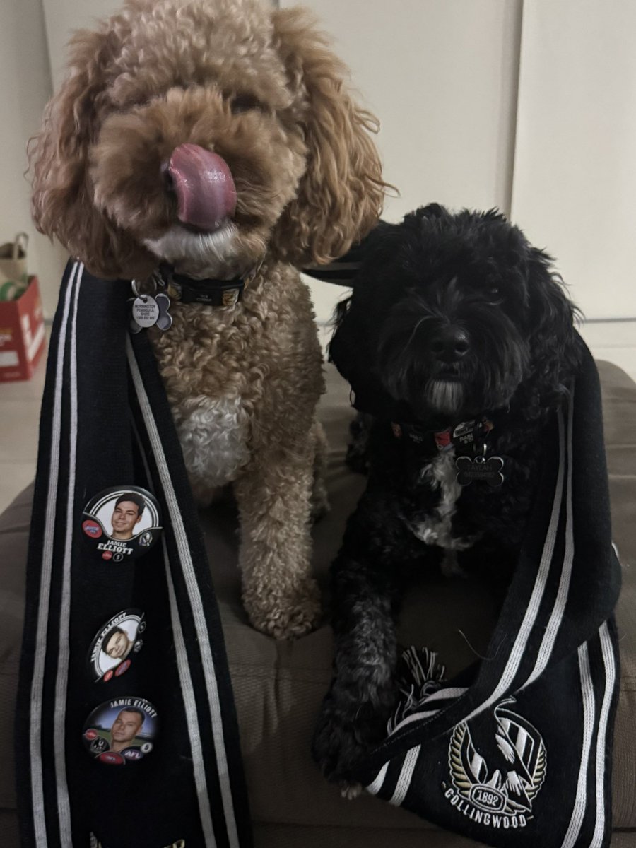 chloe_hensle's tweet photo. Let’s go pies 🥧 🖤🤍 @CollingwoodFC #Collingwood https://t.co/IvngyUzVKc
