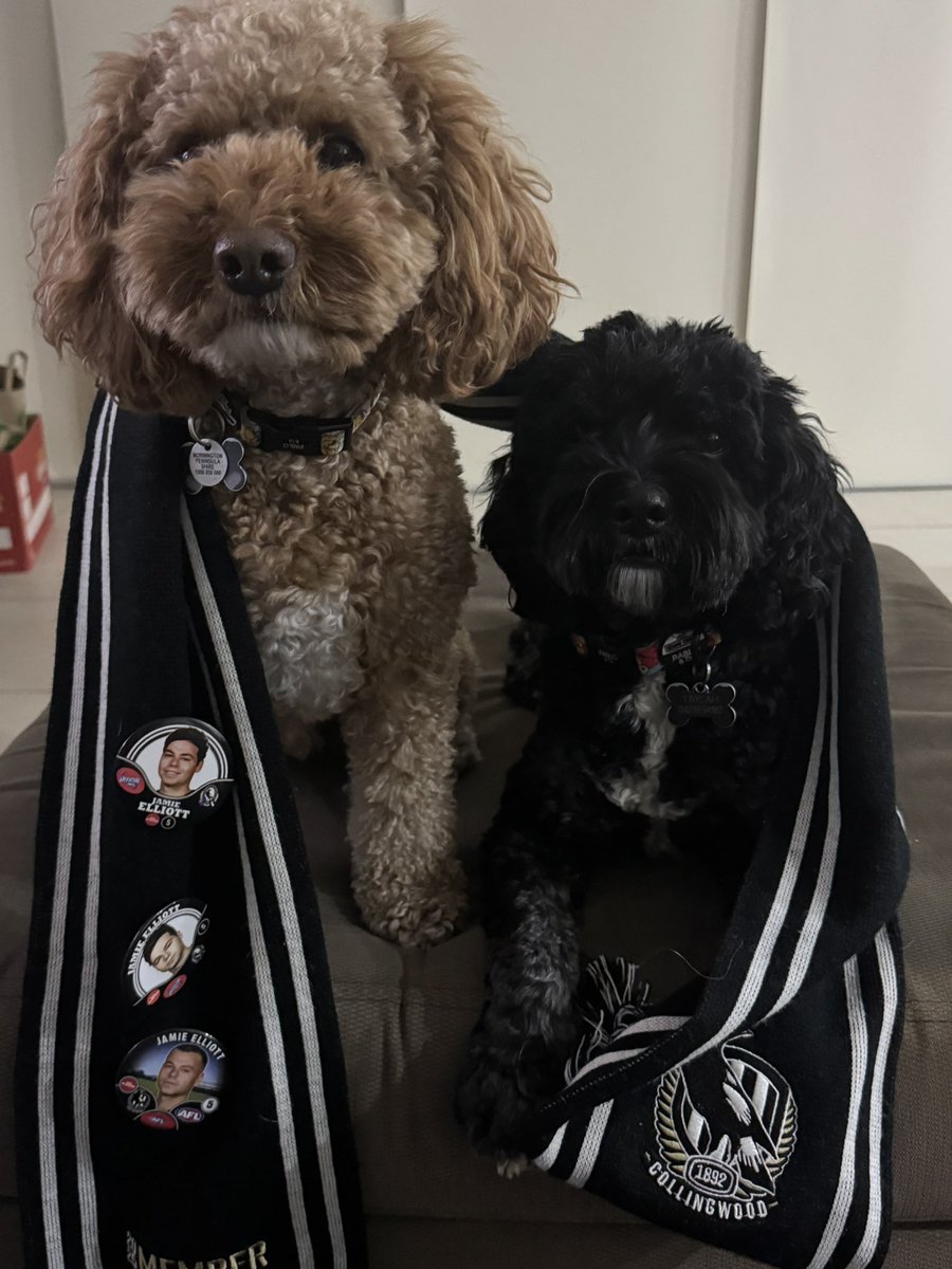 chloe_hensle's tweet photo. Let’s go pies 🥧 🖤🤍 @CollingwoodFC #Collingwood https://t.co/IvngyUzVKc