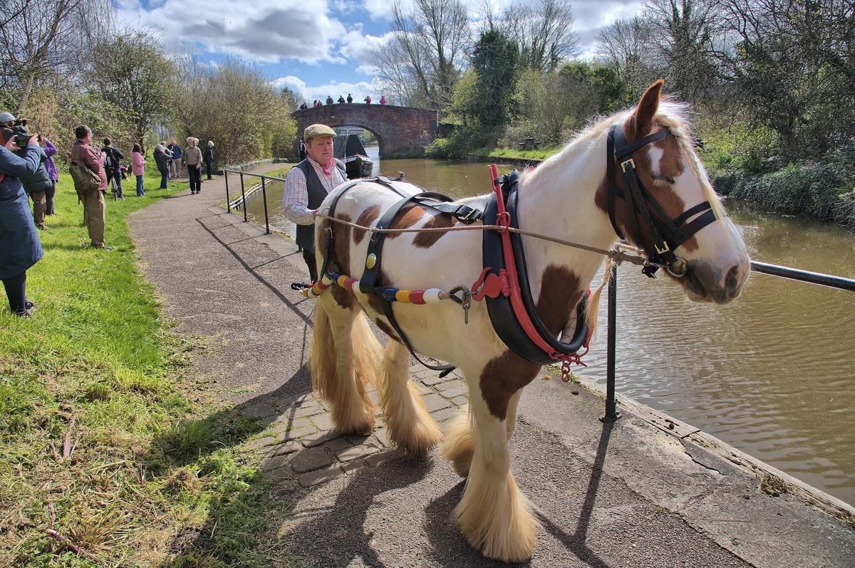 🐣This weekend! 
#Easter Historic Boat Gathering!
🥁music&amp; activities
🛟 Boat trips &amp; demos
🐴 Horse Boating
👑 celebrity auction
🍻Toll bar
More details 👉🏽 canalrivertrust.org.uk/things-to-do/e…

📷1@3 <a href="/kevmaslin/">Kev Maslin</a> 
@canalrivertrust @saturnflyboat @WIRRALGLOBENEWS #ellesmereport #keepcanalsalive