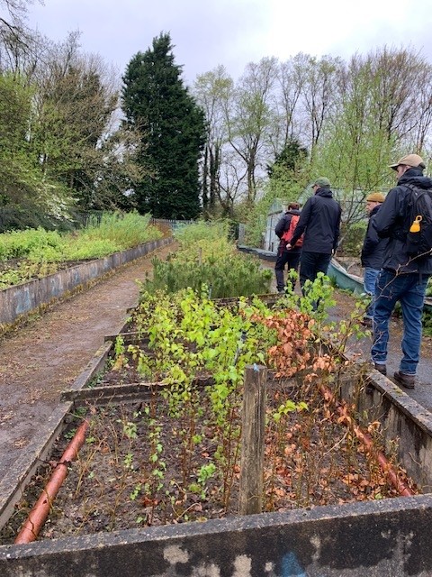 Greenwood Community Forest (@greenwoodcf) on Twitter photo Great <a href="/CommForests/">England's Community Forests</a> networking day at <a href="/CityofTreesMcr/">City of Trees</a> with <a href="/whiteroseforest/">The White Rose Forest</a> & Plymouth & South Devon #CommunityForest seeing the fantastic work our Mancunian colleagues undertake, meeting their amazing #CitizenForesters & yes, enjoying some rain (made the trees happy) <a href="/DefraGovUK/">Defra UK</a> Great <a href="/CommForests/">England's Community Forests</a> networking day at <a href="/CityofTreesMcr/">City of Trees</a> with <a href="/whiteroseforest/">The White Rose Forest</a> & Plymouth & South Devon #CommunityForest seeing the fantastic work our Mancunian colleagues undertake, meeting their amazing #CitizenForesters & yes, enjoying some rain (made the trees happy) <a href="/DefraGovUK/">Defra UK</a>