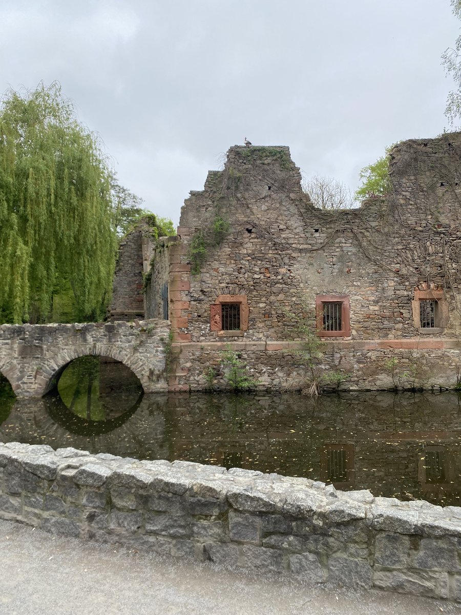 sandro_w_hess's tweet photo. Ruine der #Beginen-Konventskirche Zum heiligen Grabe in #Aschaffenburg https://t.co/Wx1S8kit3Y