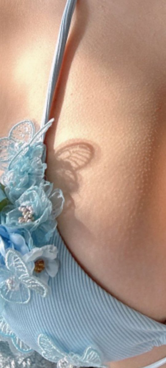 東雲うみさんの蝶の影めっちゃお洒落