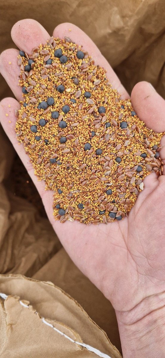 Joost Rijk tweet media