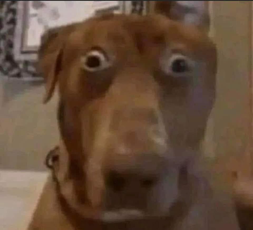 تاليا الغول (@ladyofghul) on Twitter photo 