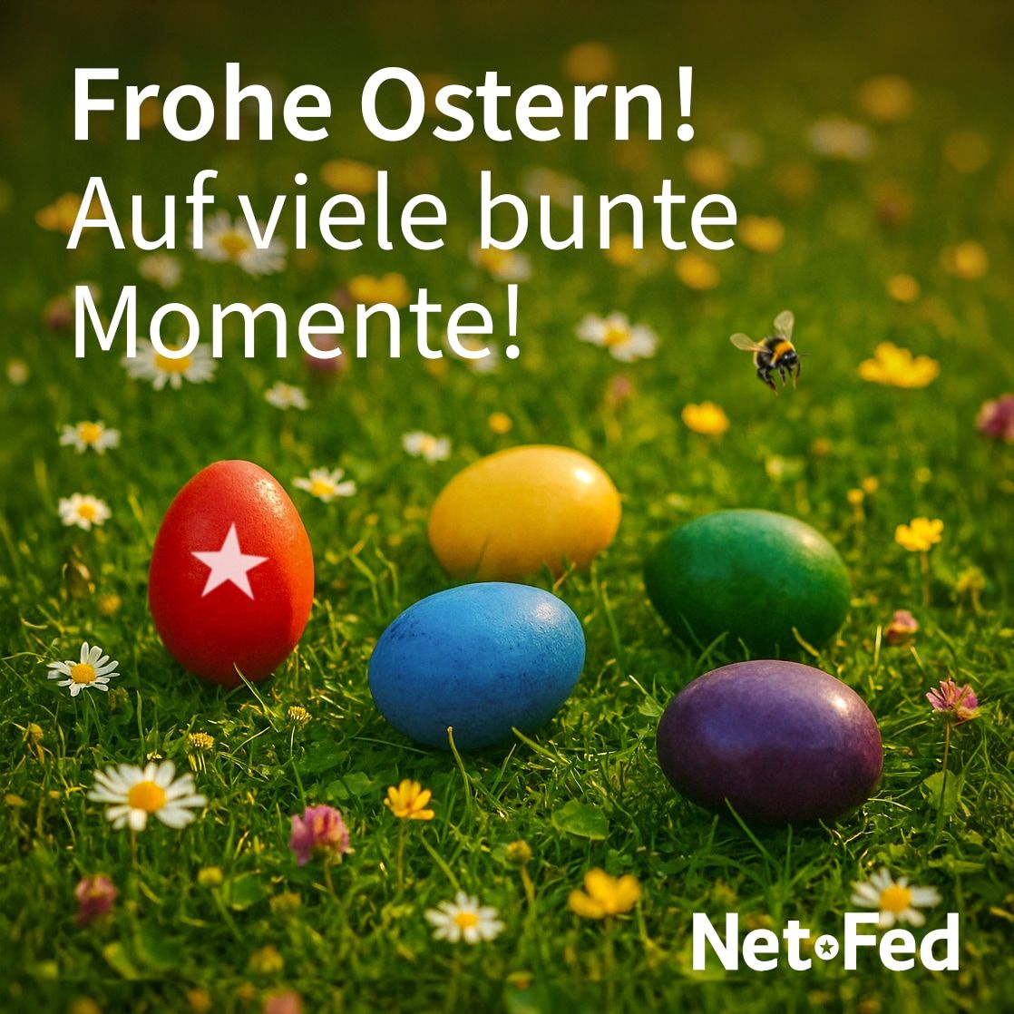 NetFed (@netfed) on Twitter photo 