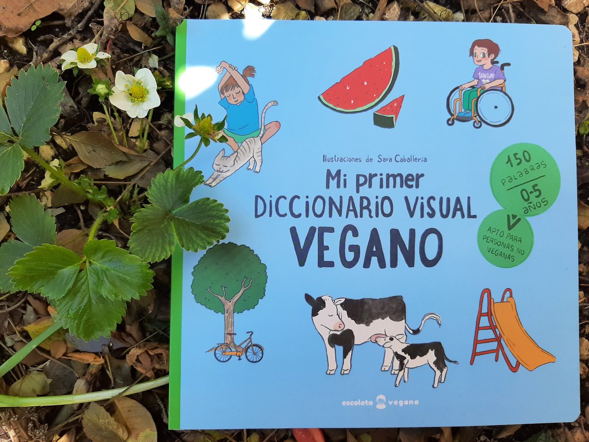 Atención a esta maravilla d'<a href="/escoletavegana/">escoletavegana</a> 💚💚💚