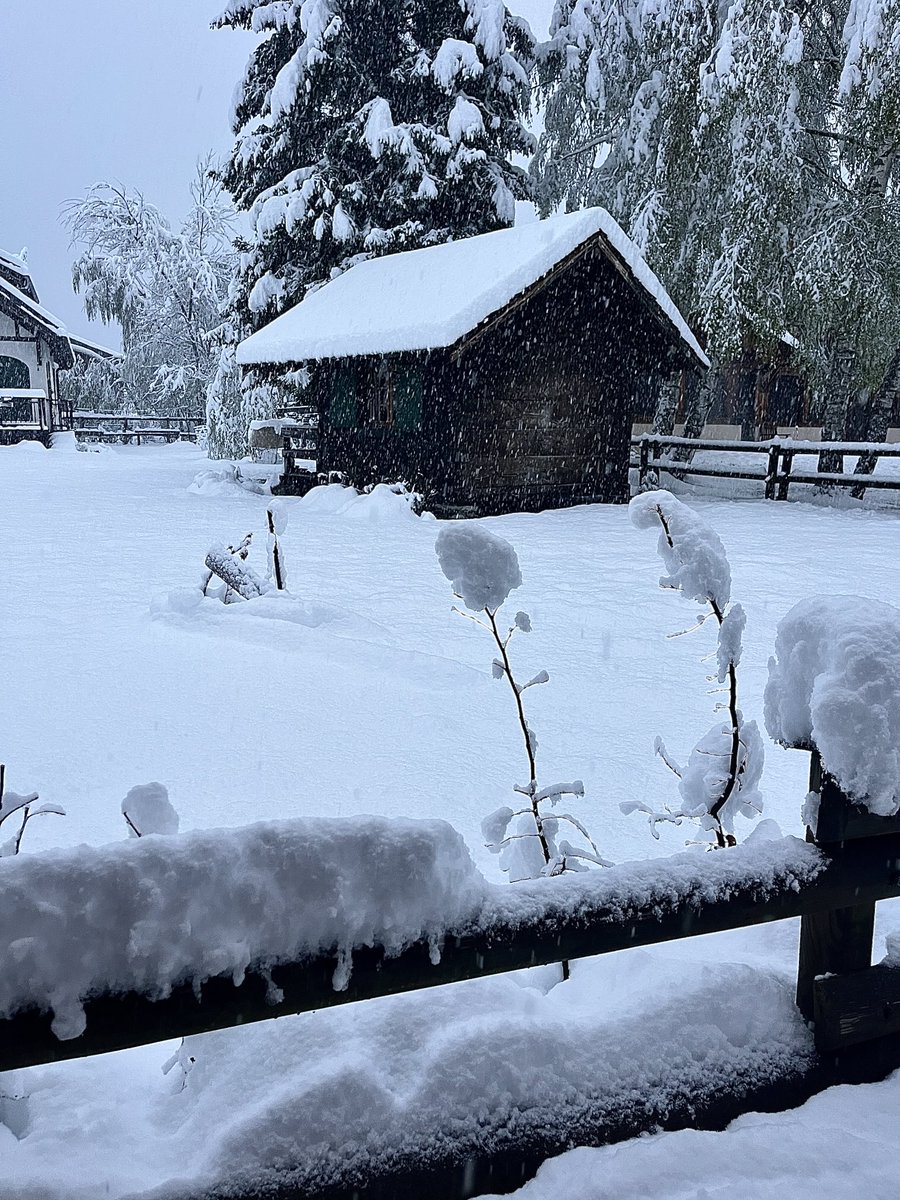 Winter returns and brings absolute chaos to Chamonix and the surrounding area