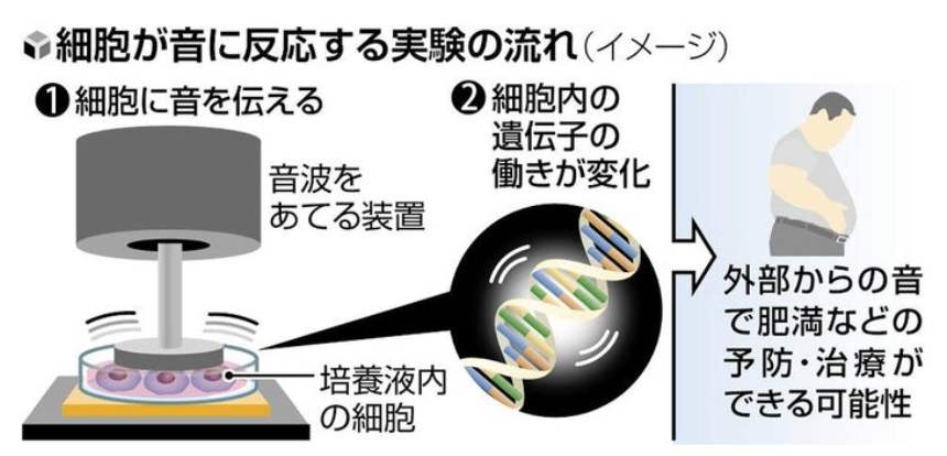 河野健一 Kenichi Kono | 脳外科医 CEO|AI 医療 MBA|脳血管内 河野健一 Kenichi Kono | 脳外科医 CEO|AI 医療 MBA|脳血管内