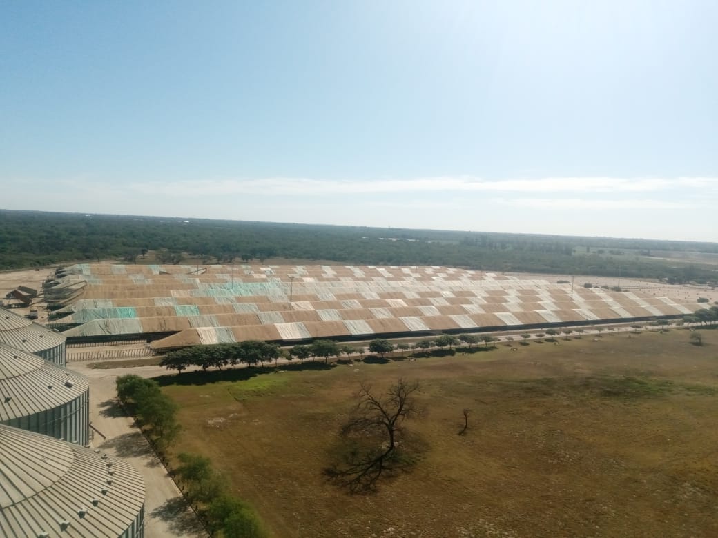 Feliz Cumple🥂🎉

Un 17 de Abril del 2009.. Iniciaba las operaciones la Planta de AGD Beltran 🏭🚂🇦🇷
Hoy cumple 16 años operando en el corazón de SDE <a href="/AGDagro/">Aceitera General Deheza SA</a> <a href="/agdexperta/">AGD Experta</a> <a href="/AGDempleos/">AGD » Empleos</a>
📍Beltran- Dpto Robles- Santiago del E.
<a href="/Daniel1375S/">Daniel Sarsfield</a> <a href="/Segambaudo/">Sebastián Gambaudo</a> <a href="/julioroldanOK/">Julio Roldán</a> <a href="/roly_ibanez/">Rolando Ibañez</a>