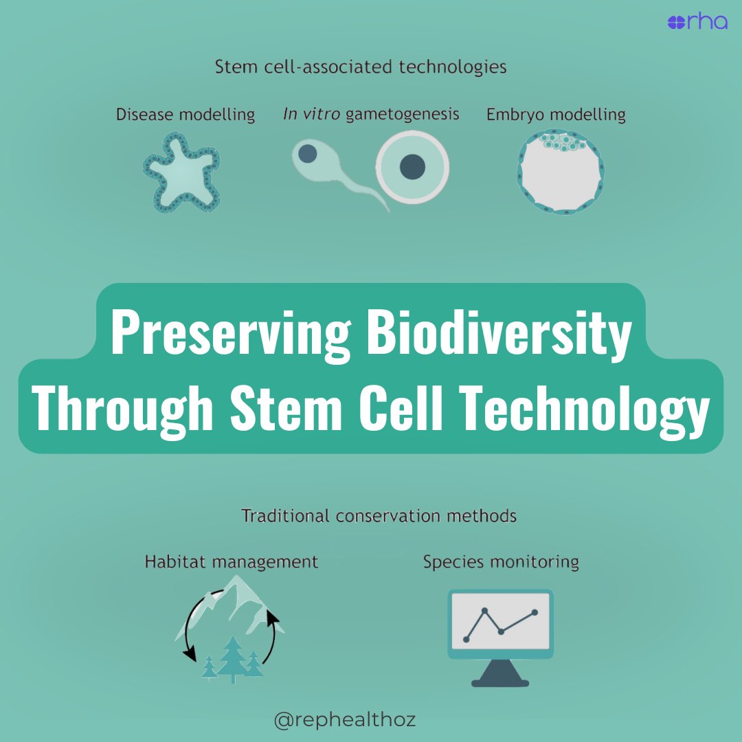 RepHealthOz's tweet photo. 🌏Wildlife #biodiversity is key to resilient ecosystems and offers #biologists vital insights into genetics and development across #species.
⚠️But biodiversity is declining at an alarming rate, putting ecosystems and countless species at risk.
#stemcellscience
@DrSAWilliams https://t.co/LcxyA8zV86