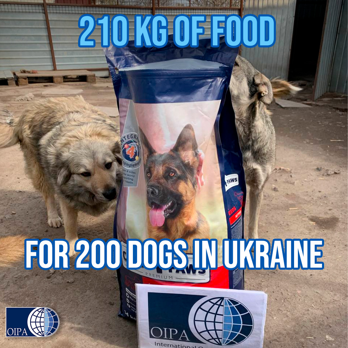 🎉We've bought 210 kg of food for 200 dogs in Ukraine!

Gorod Cobak shelter in Mykolaiv, Ukraine, last month asked us for help. Thanks to a fundraiser, we've collected 500 euros with which we've purchased 15 bags of 14 kg

Remember to keep to support us for the Ukraine Emergency!
