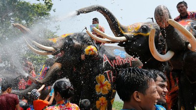 Di beberapa daerah, gajah ikut main air saat festival Songkran.
Yes, G A J A H.
Belalai jadi water gun natural.
Makhluk 3 ton ini literally main basah-basahan bareng kamu.