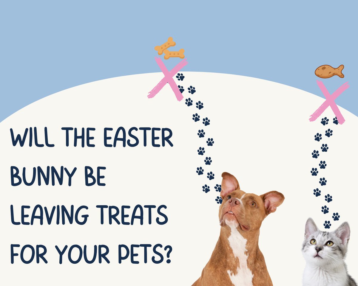 Healthy Pets Insurance tweet media