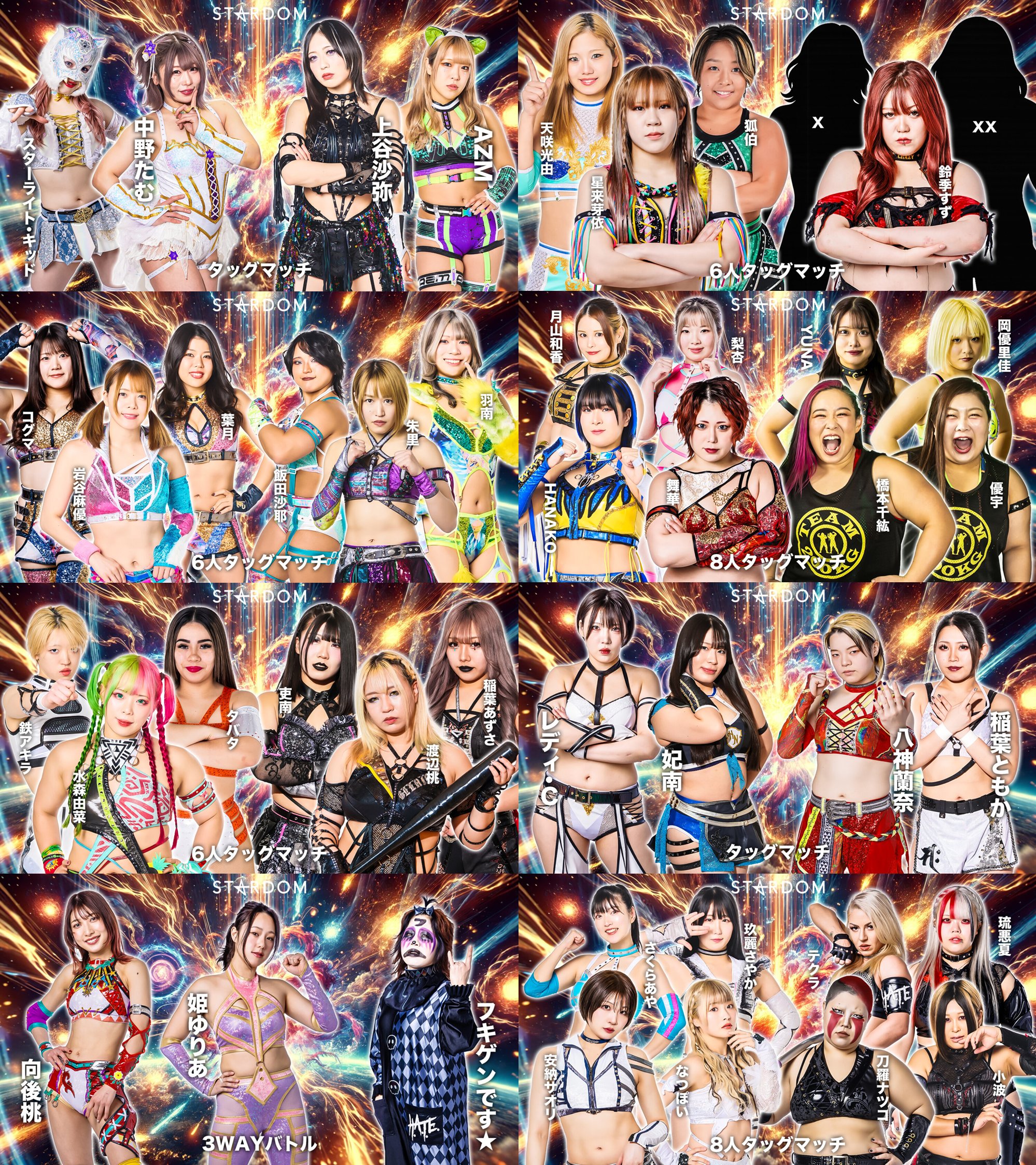 スターダム STARDOM VIP席特典 後楽園ホール 限定ポスターb 14827-8252-
