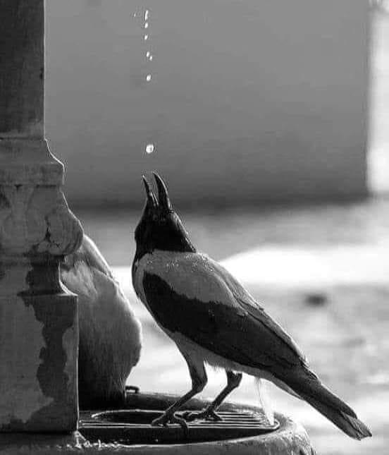 AdelAliBinAli's tweet photo. وتظن أنها النهايه فتتفاجأ بتدابير الله... https://t.co/U1pUU2T1iU