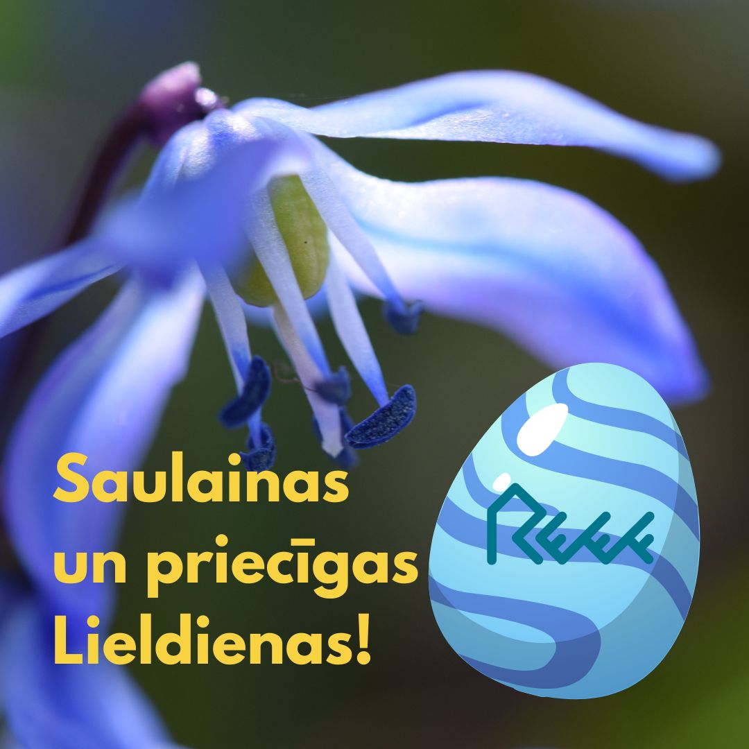 ProjektsReef's tweet image. 