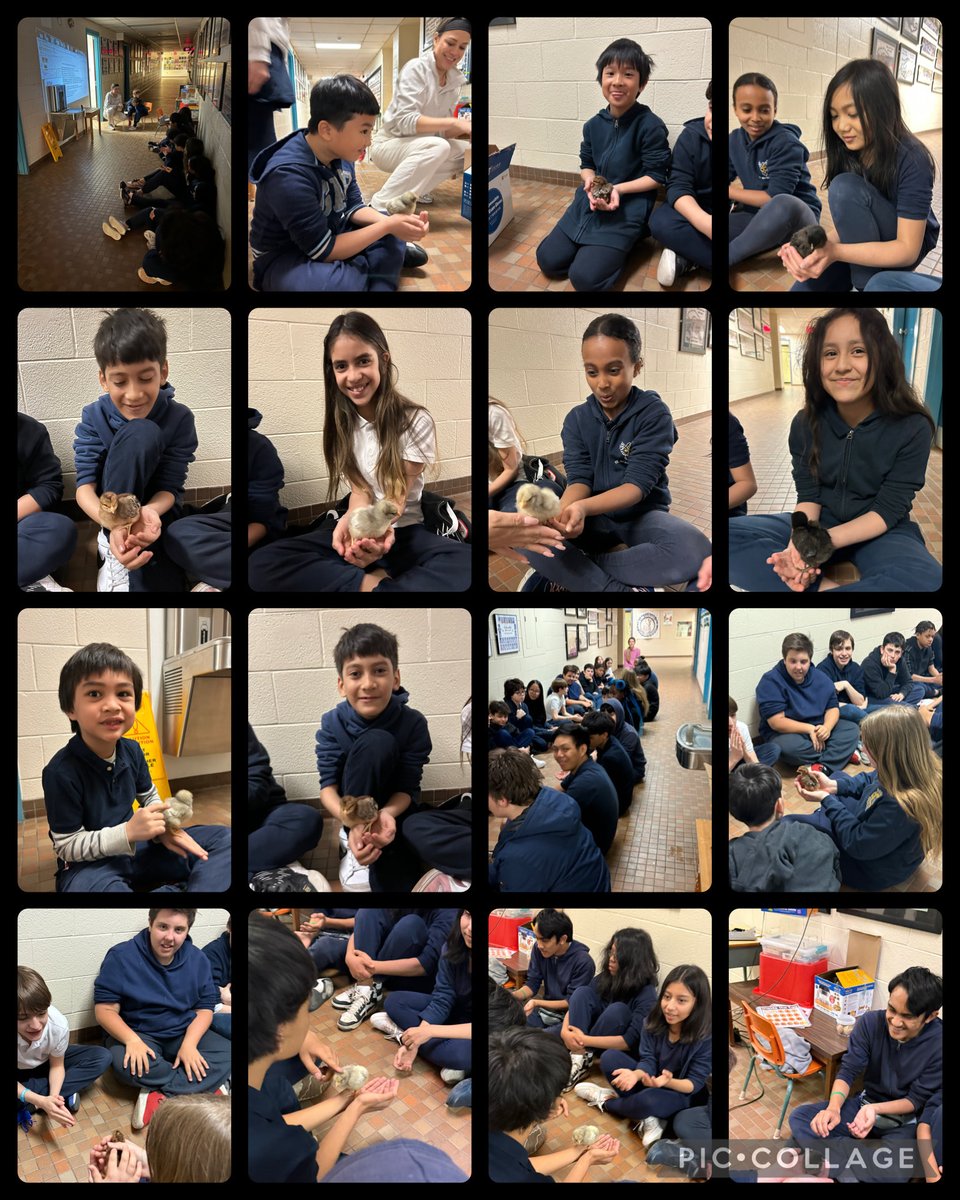 Ss in Elp2 shared their experience and knowledge with the last two classes. Thank you ⁦<a href="/Piotrok/">Ms P, EdD</a>⁩ and Ms.Dos Santos” classes for coming. ⁦<a href="/4catholiced/">Joanne Duarte</a>⁩ ⁦<a href="/TCDSB/">Toronto Catholic District School Board</a>⁩ ⁦<a href="/TCDSB_RDAddario/">Robert D’Addario</a>⁩ ⁦<a href="/TCDSB_NCC/">TCDSB Nurturing our Catholic Community</a>⁩