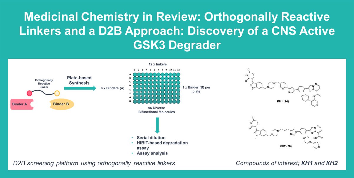 Domainex (@domainex_uk) on Twitter photo In our latest blog, we highlight a paper describing the discovery of a #CNS active GSK3 degrader using “orthogonally reactive linkers” and a direct-to-biology approach.
lnkd.in/evTqarZi
Find out more about #D2B by getting in touch with us via enquiries@domainex.co.uk In our latest blog, we highlight a paper describing the discovery of a #CNS active GSK3 degrader using “orthogonally reactive linkers” and a direct-to-biology approach.
lnkd.in/evTqarZi
Find out more about #D2B by getting in touch with us via enquiries@domainex.co.uk