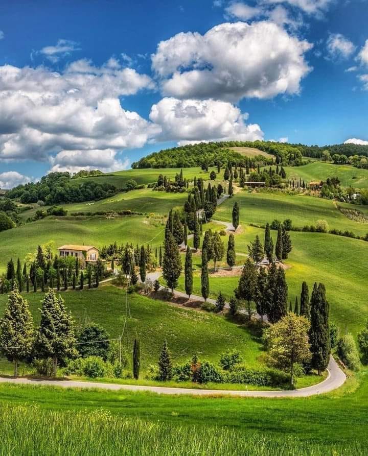PatsyHolme6038's tweet image. Siena - Toscana - Italy