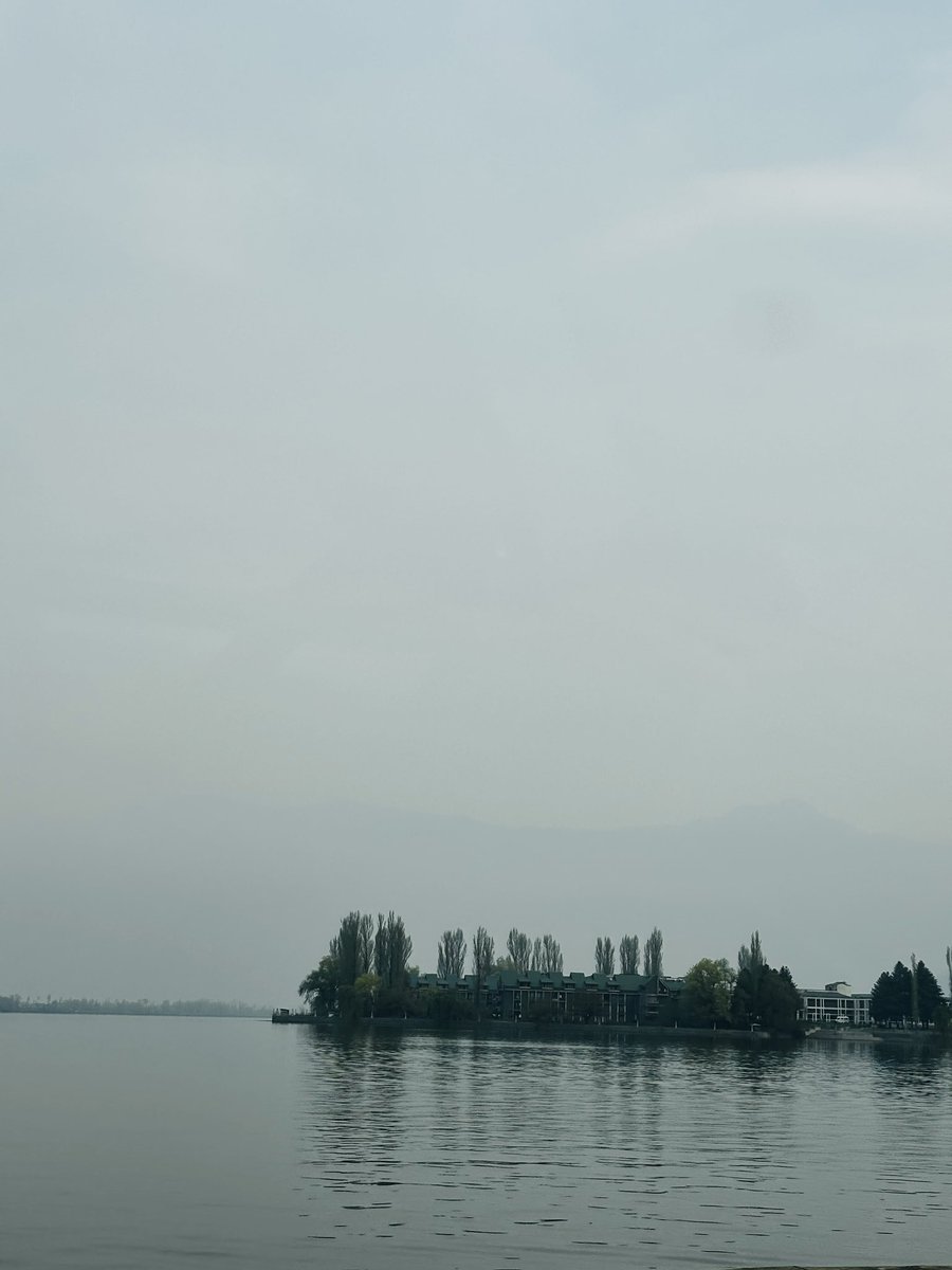 SmartAadiee's tweet photo. Find your wave.
#DalLake #srinagar #Kashmir #NaturePhotography #Trendingnow https://t.co/iBUWpBzez3