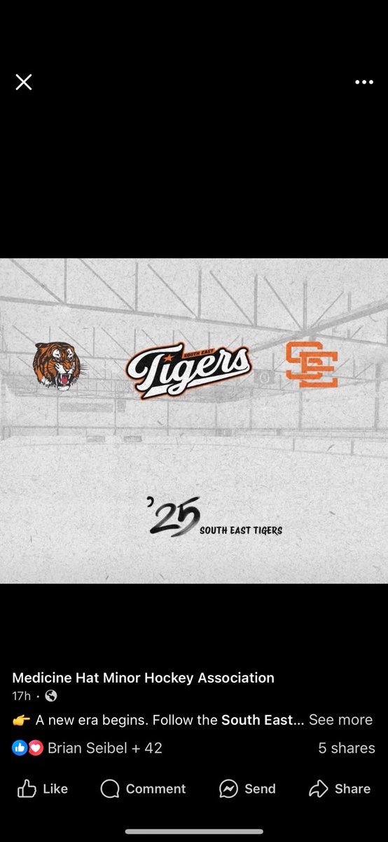 Huge news the Tigers have changed governing bodies and have have released some updated logos for this season. We will be The South East Tigers moving forward at the AAA level #aehl